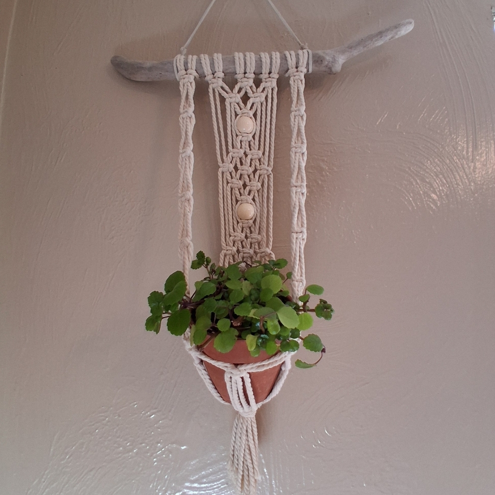 Macrame Plant Hanger